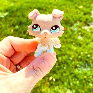 Lps prototype collie #1339
